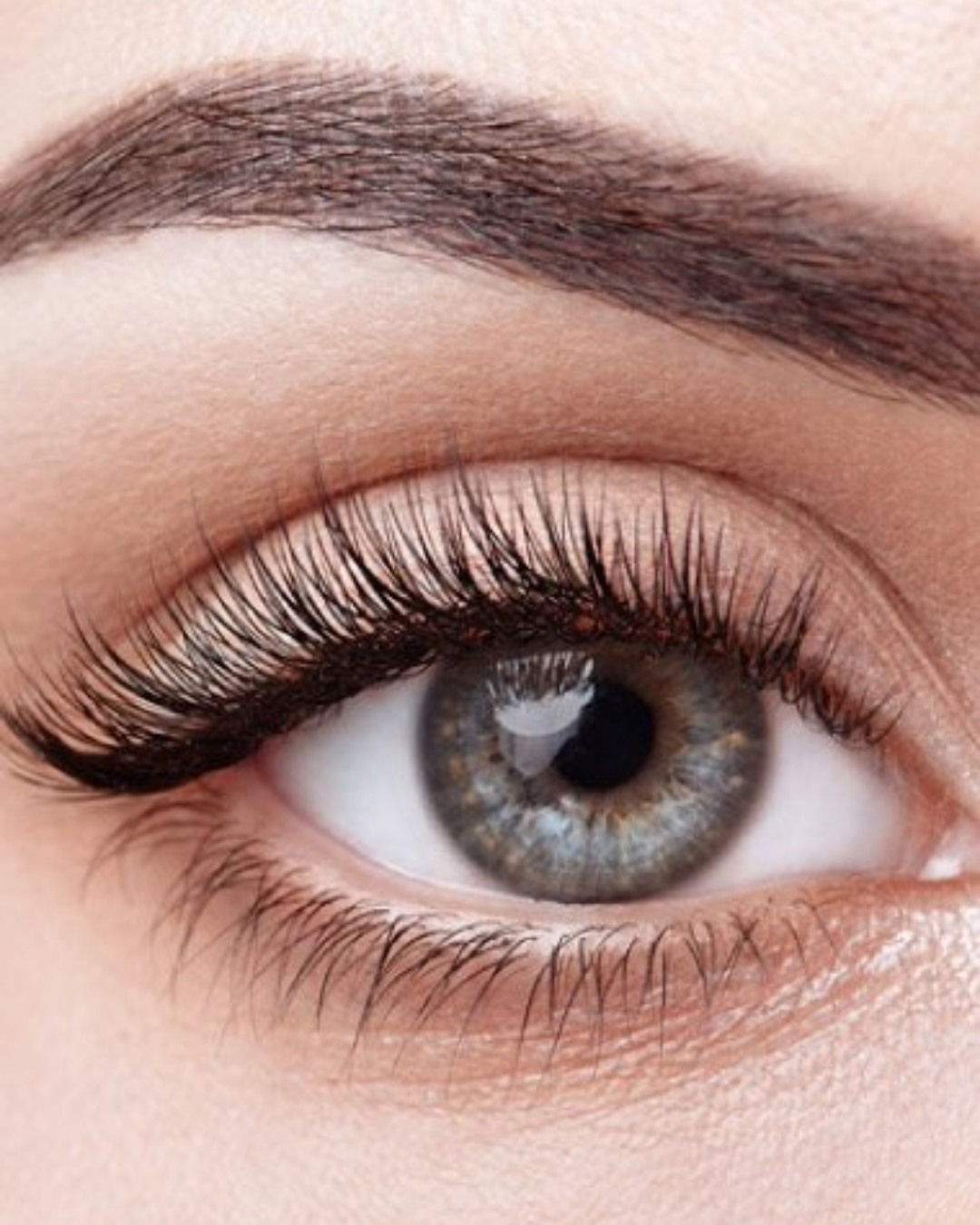 Lash & Brow Tinting & Shaping at La Suite Hair & Beauty Salon In Corbridge